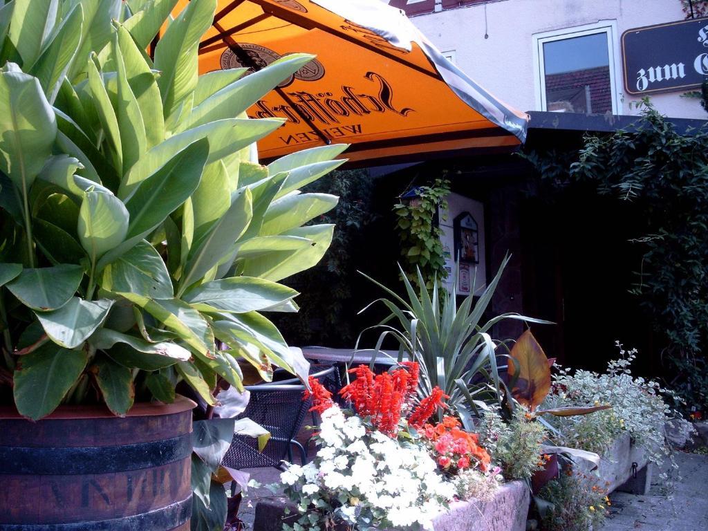 Fritz'Es Goldener Stern Hotel Schauenburg Eksteriør billede